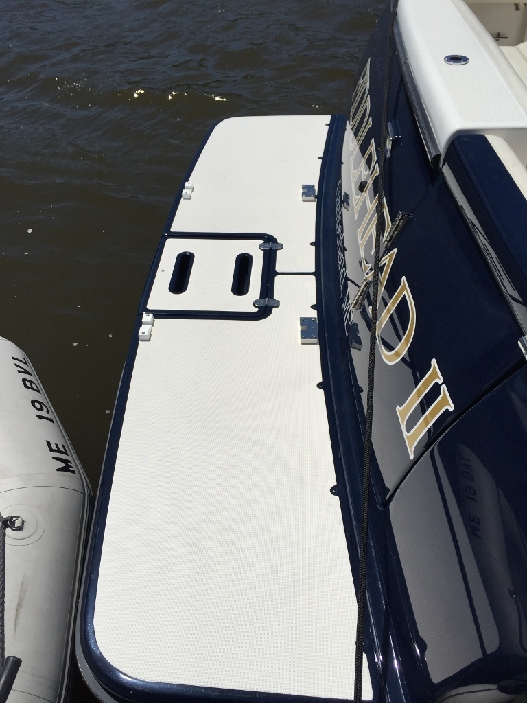 [Image: Fiddlehead_Davits1SwimPlatforma.jpg]
